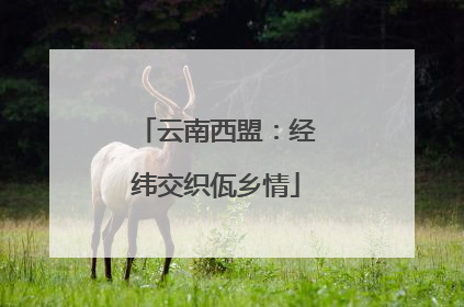 云南西盟：经纬交织佤乡情