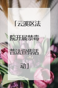 云溪区法院开展禁毒普法宣传活动