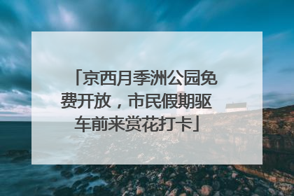 京西月季洲公园免费开放，市民假期驱车前来赏花打卡
