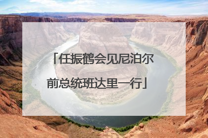 任振鹤会见尼泊尔前总统班达里一行