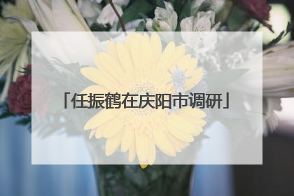 任振鹤在庆阳市调研