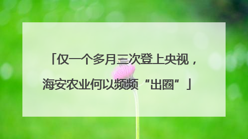 仅一个多月三次登上央视，海安农业何以频频“出圈”