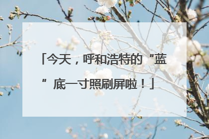今天，呼和浩特的“蓝”底一寸照刷屏啦！