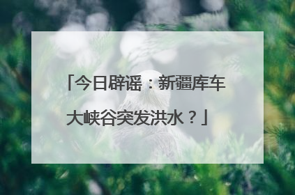 今日辟谣：新疆库车大峡谷突发洪水？