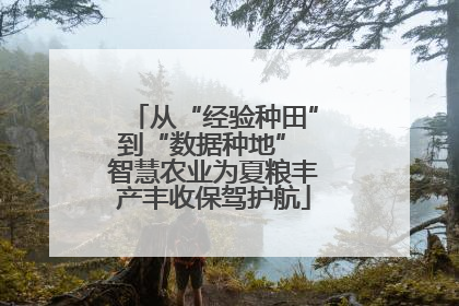 从“经验种田”到“数据种地” 智慧农业为夏粮丰产丰收保驾护航