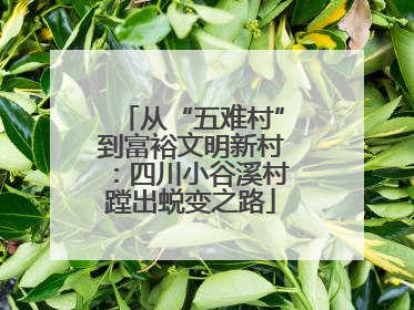 从“五难村”到富裕文明新村：四川小谷溪村蹚出蜕变之路