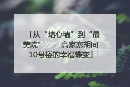 从“堵心墙”到“最美院”——高家寨胡同10号楼的幸福蝶变