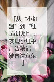 从“小红盟”到“红京计划”：实现小红书广告笔记一键直达京东