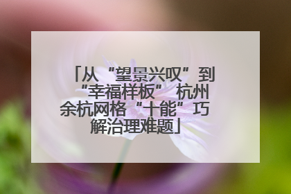 从“望景兴叹”到“幸福样板” 杭州余杭网格“十能”巧解治理难题