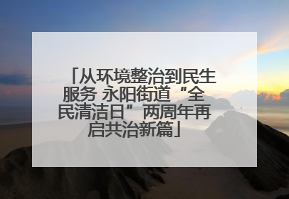 从环境整治到民生服务 永阳街道“全民清洁日”两周年再启共治新篇