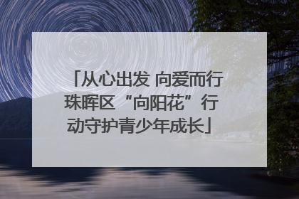 从心出发 向爱而行 珠晖区“向阳花”行动守护青少年成长