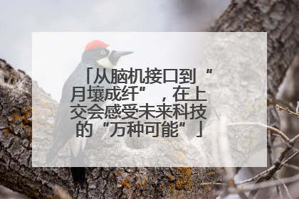 从脑机接口到“月壤成纤”，在上交会感受未来科技的“万种可能”