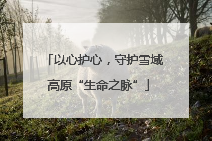 以心护心，守护雪域高原“生命之脉”