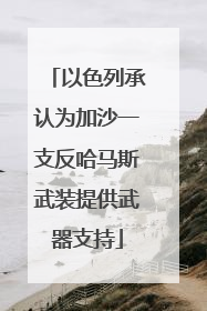 以色列承认为加沙一支反哈马斯武装提供武器支持