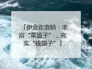 伊金霍洛镇：丰富“菜篮子”，充实“钱袋子”