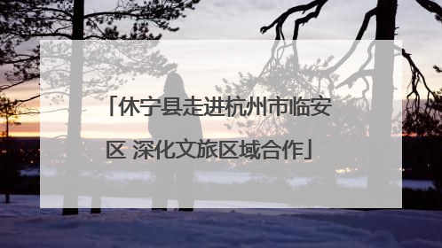 休宁县走进杭州市临安区 深化文旅区域合作