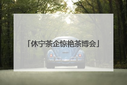 休宁茶企惊艳茶博会
