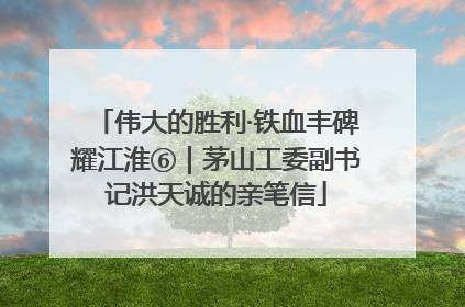 伟大的胜利·铁血丰碑耀江淮⑥｜茅山工委副书记洪天诚的亲笔信