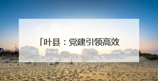 叶县：党建引领高效能 绘就乡村新图景