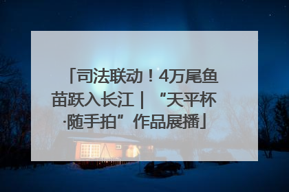司法联动！4万尾鱼苗跃入长江｜“天平杯·随手拍”作品展播