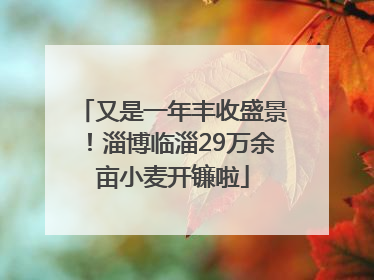 又是一年丰收盛景！淄博临淄29万余亩小麦开镰啦