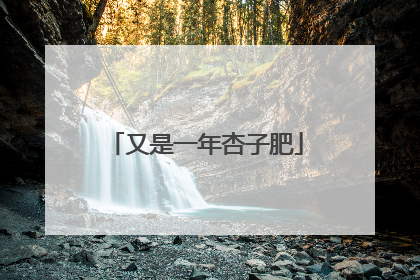 又是一年杏子肥