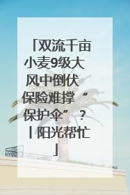 双流千亩小麦9级大风中倒伏 保险难撑“保护伞”？丨阳光帮忙