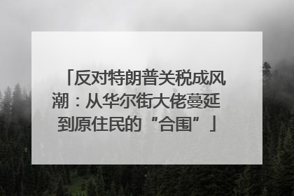 反对特朗普关税成风潮：从华尔街大佬蔓延到原住民的“合围”