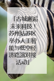 古城邂逅未来科技！苏州姑苏区举办人工智能与低空经济路演对接活动