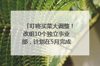 叮咚买菜大调整！改组10个独立事业部，计划在5月完成App端全面改版