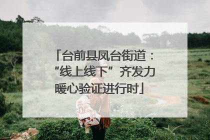 台前县凤台街道：“线上线下”齐发力 暖心验证进行时