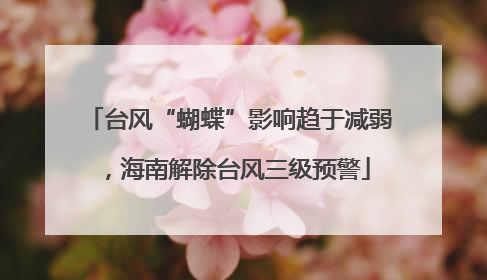 台风“蝴蝶”影响趋于减弱，海南解除台风三级预警