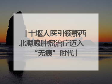 十堰人医引领鄂西北腮腺肿瘤治疗迈入“无痕”时代