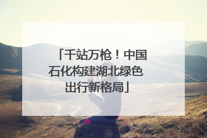 千站万枪！中国石化构建湖北绿色出行新格局
