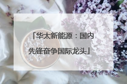 华太新能源：国内先锋奋争国际龙头