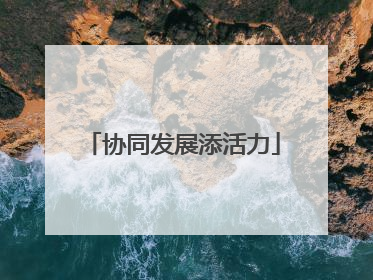协同发展添活力