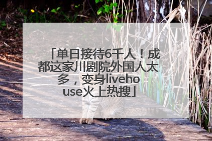 单日接待6千人！成都这家川剧院外国人太多，变身livehouse火上热搜