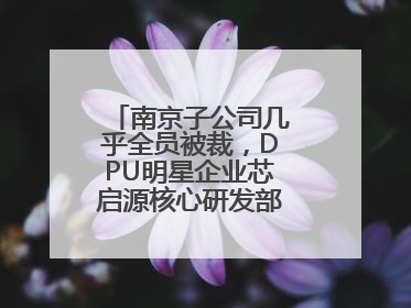 南京子公司几乎全员被裁，DPU明星企业芯启源核心研发部门已人去楼空