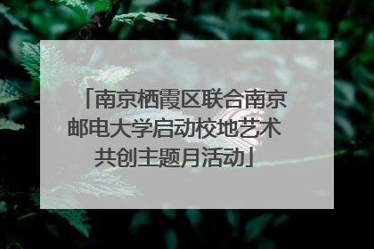 南京栖霞区联合南京邮电大学启动校地艺术共创主题月活动