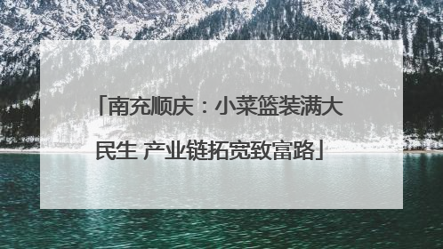 南充顺庆：小菜篮装满大民生 产业链拓宽致富路