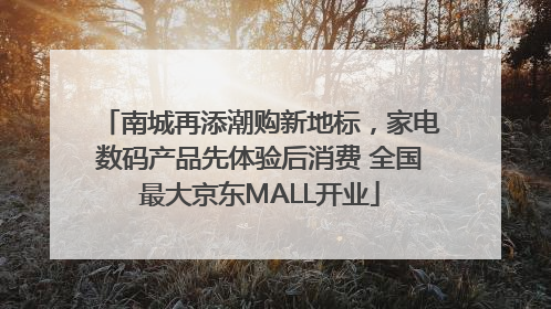 南城再添潮购新地标，家电数码产品先体验后消费 全国最大京东MALL开业