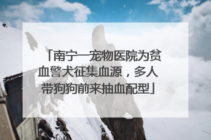 南宁一宠物医院为贫血警犬征集血源，多人带狗狗前来抽血配型