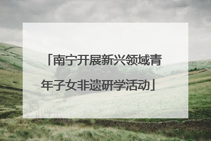 南宁开展新兴领域青年子女非遗研学活动