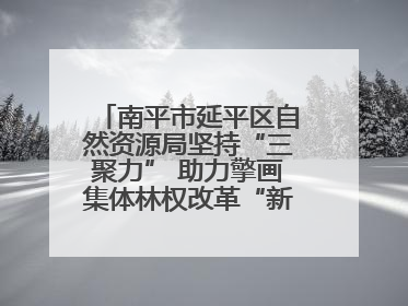 南平市延平区自然资源局坚持“三聚力” 助力擎画集体林权改革“新图景”