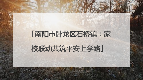 南阳市卧龙区石桥镇：家校联动共筑平安上学路