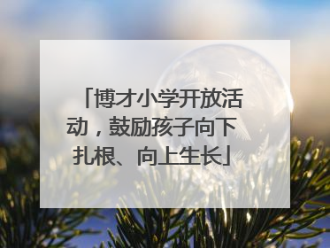 博才小学开放活动，鼓励孩子向下扎根、向上生长