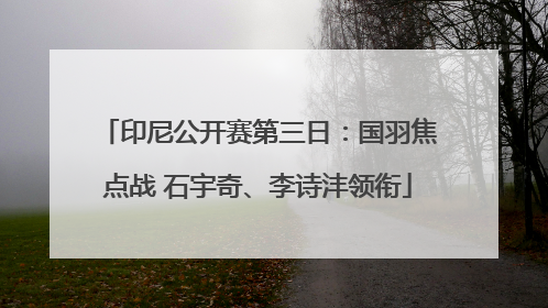 印尼公开赛第三日：国羽焦点战 石宇奇、李诗沣领衔