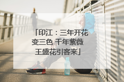 印江：三年开花变三色 千年紫薇王盛花引客来