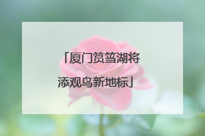 厦门筼筜湖将添观鸟新地标