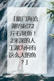 厦门海沧湖钓起72斤石斑鱼！2米深的人工湖为何有这么大的鱼？